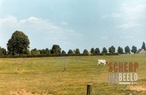 Bevrijdingslaan