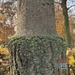 Zoekplaatjes uit Grolle