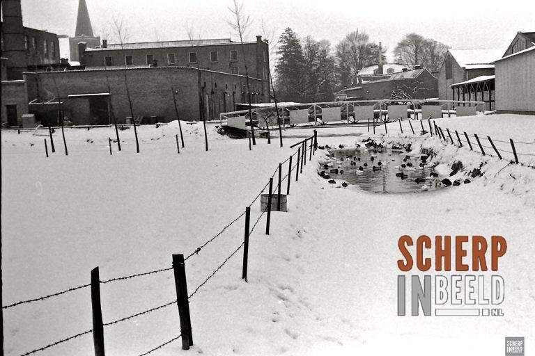 Winter 1962: Halve Maanweg: Mooi winters plaatje.Bijna dichtgevroren.Sneeuw en ijs.