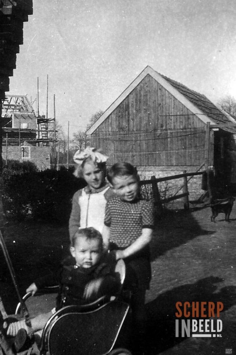 Diverse Personen: Foto van omstreeks 1950.