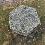 Zoekplaatjes uit Grolle