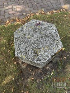 Zoekplaatjes uit Grolle