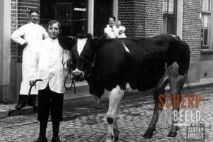 Diverse Personen