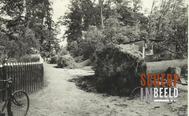 Windhoos 13 augustus 1966: De Houtwal had zwaar te leiden onder de zware windstoten.