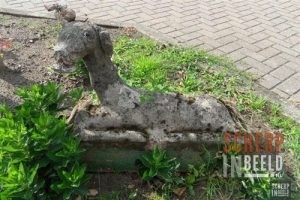 Zoekplaatjes uit Groenlo