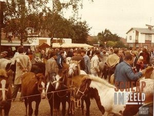 Grolse Kermis: De traditionele ponymarkt.