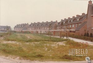 Molenaar
