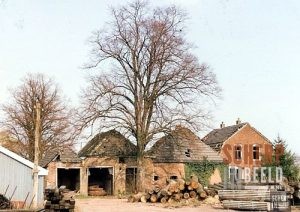 Houthandel en Stoom – houtzagerij firma J. Nahuis