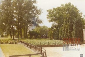 Groeneweg