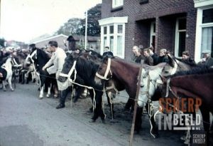 Jaarlijkse paarden en ponymarkt