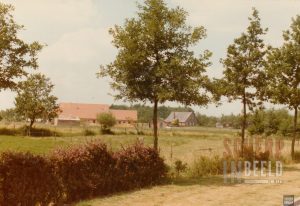 Bevrijdingslaan
