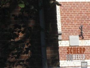 Zoekplaatjes uit Groenlo