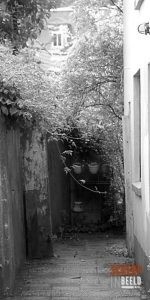4_Groen1