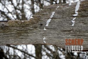 Zoekplaatjes uit Groenlo