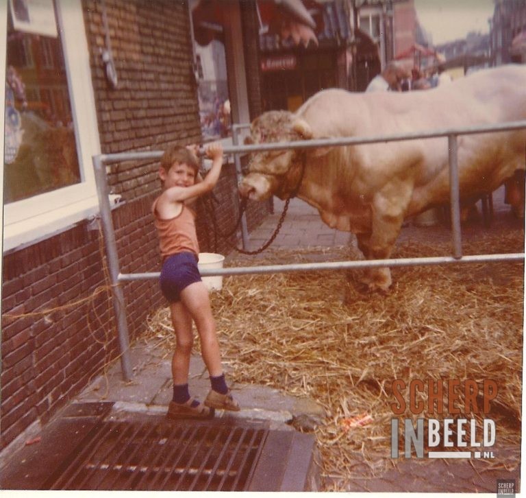 Braderie Diversen; Braderie 1981 Notenboomstraat.