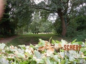 Zoekplaatjes uit Groenlo