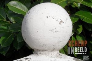 Zoekplaatjes uit Groenlo