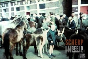 Jaarlijkse paarden en ponymarkt