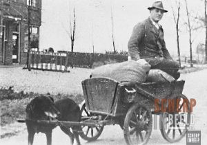 Antoon van Uem met hondenkar
