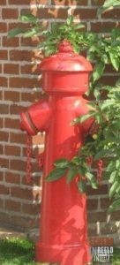 Zoekplaatjes uit Groenlo