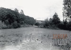 Grachtgezichten