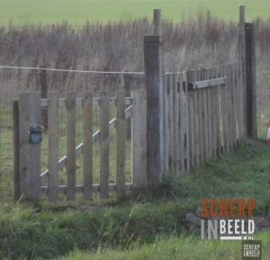 Zoekplaatjes uit Groenlo