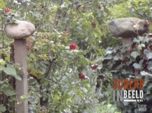 Zoekplaatjes uit Groenlo