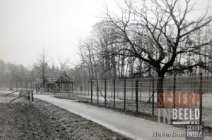 Hertenkamp aan de Halve Maanweg
