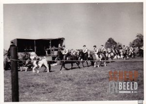 Pony-Club