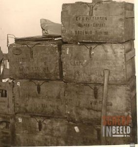 Pietersen Eier export