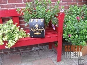 Zoekplaatjes uit Groenlo