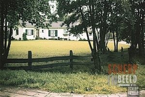 Winterswijkseweg: Het huis van A.F.Th.de Groen,op de hoek
