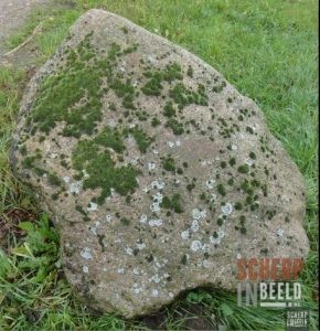 Zoekplaatjes uit Groenlo